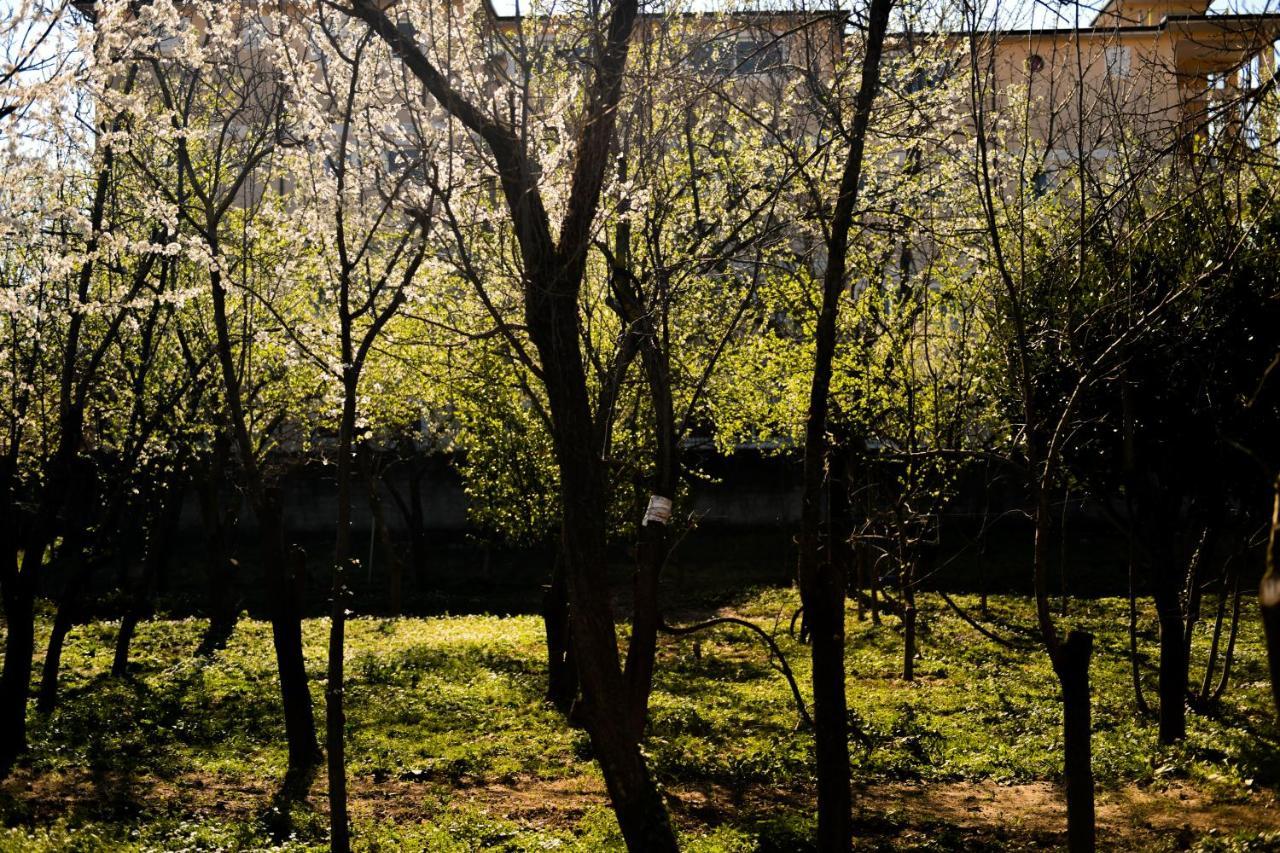 Nicolaus Hidden Gem Villa Shkodër Dış mekan fotoğraf