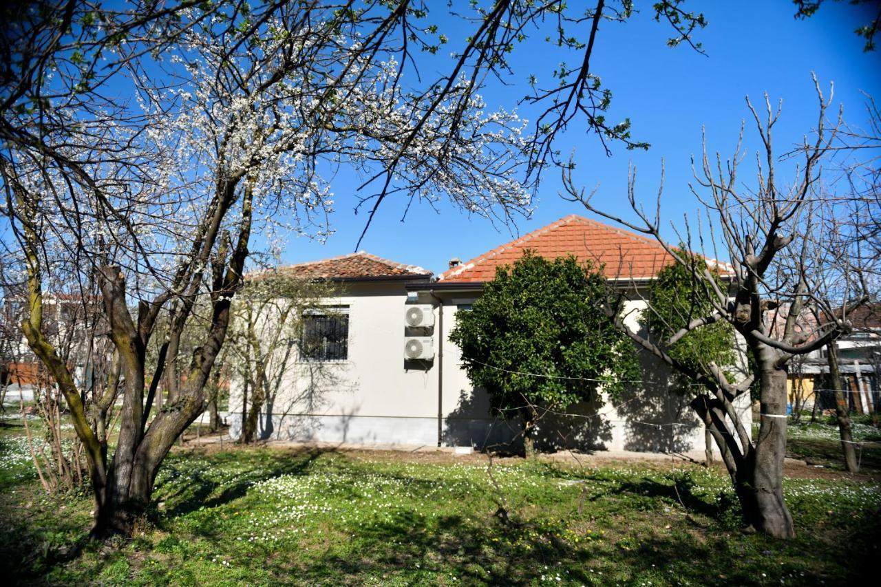 Nicolaus Hidden Gem Villa Shkodër Dış mekan fotoğraf