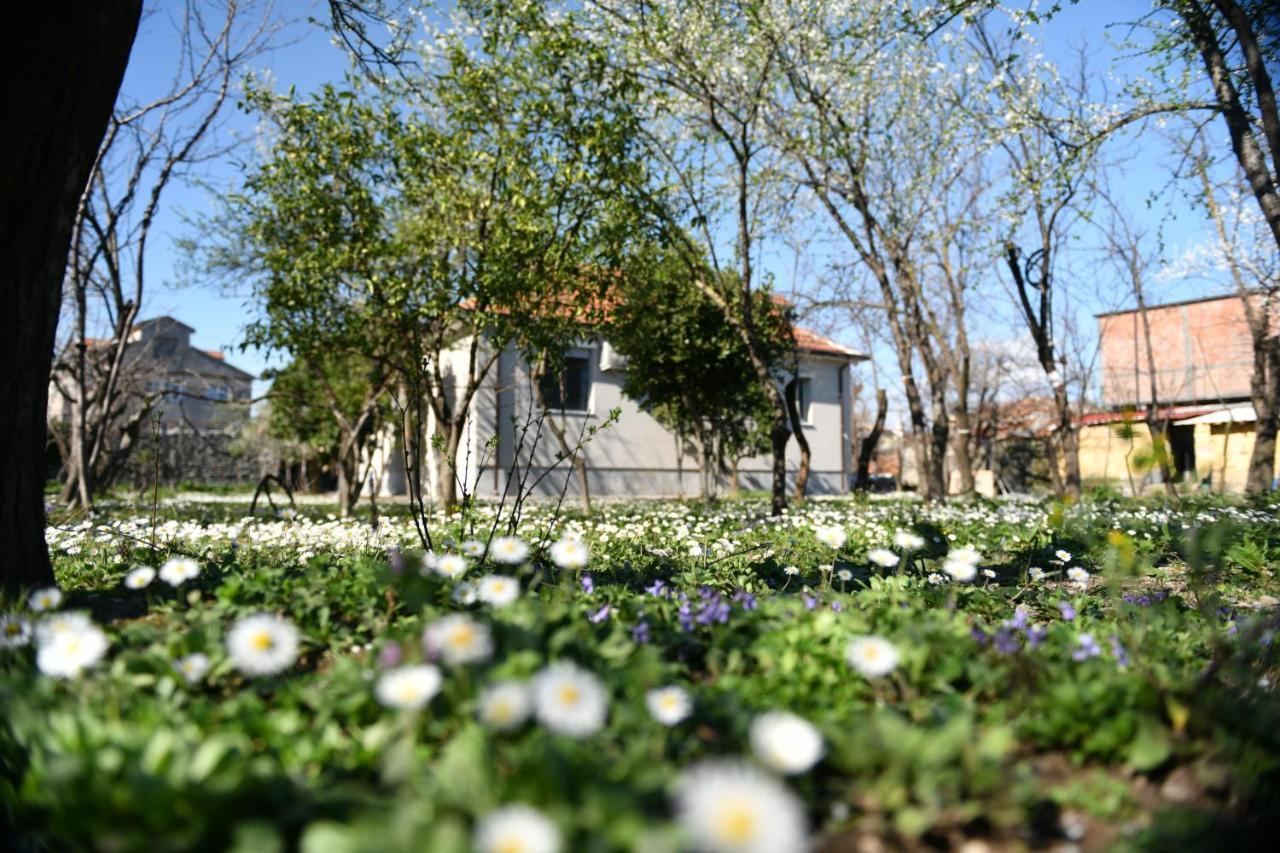 Nicolaus Hidden Gem Villa Shkodër Dış mekan fotoğraf