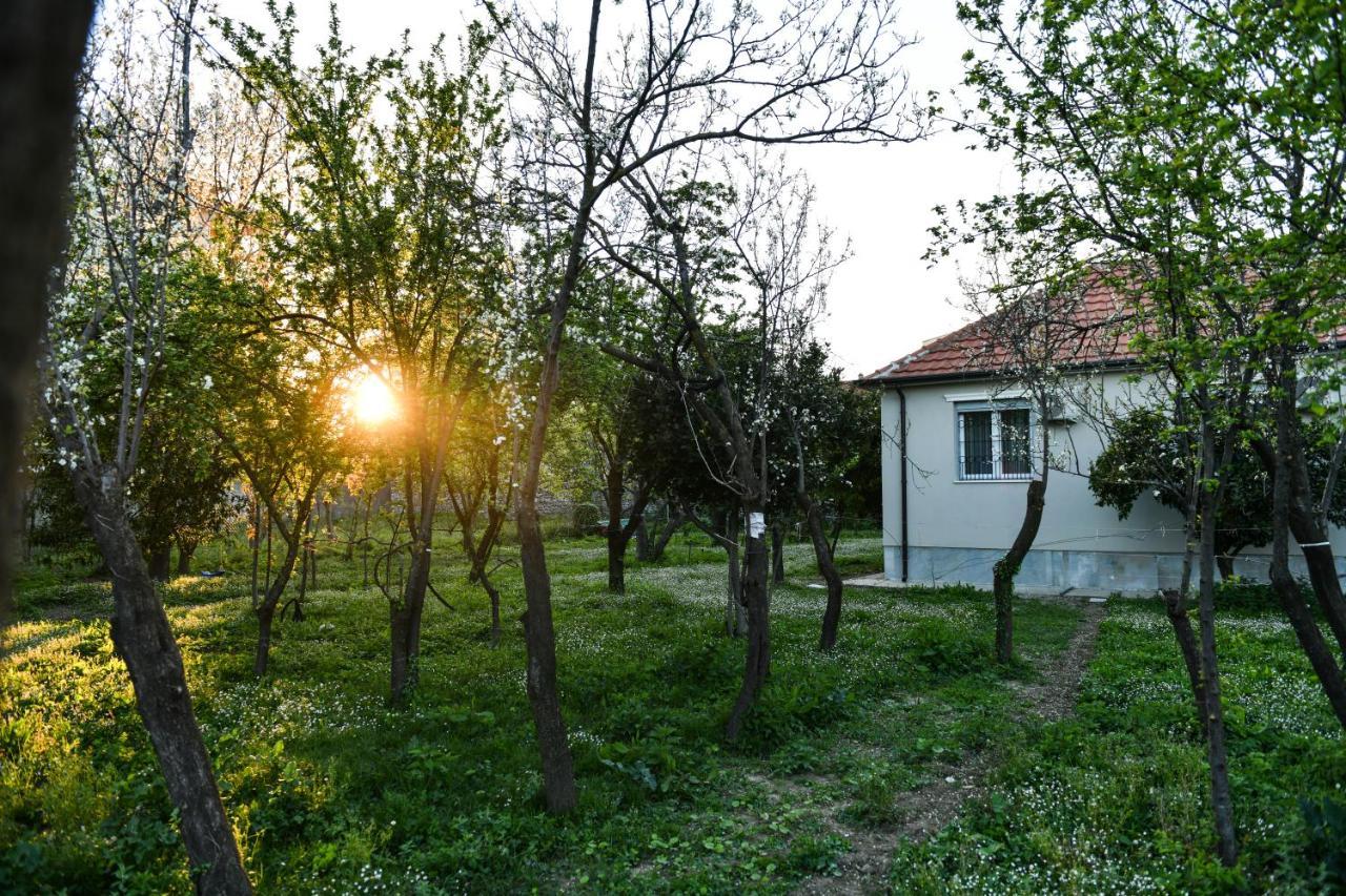 Nicolaus Hidden Gem Villa Shkodër Dış mekan fotoğraf