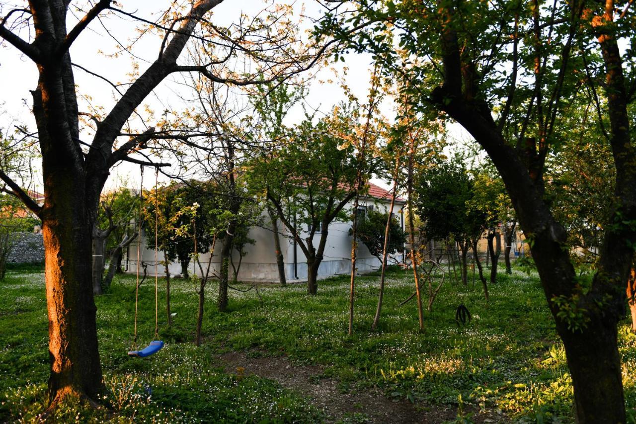 Nicolaus Hidden Gem Villa Shkodër Dış mekan fotoğraf