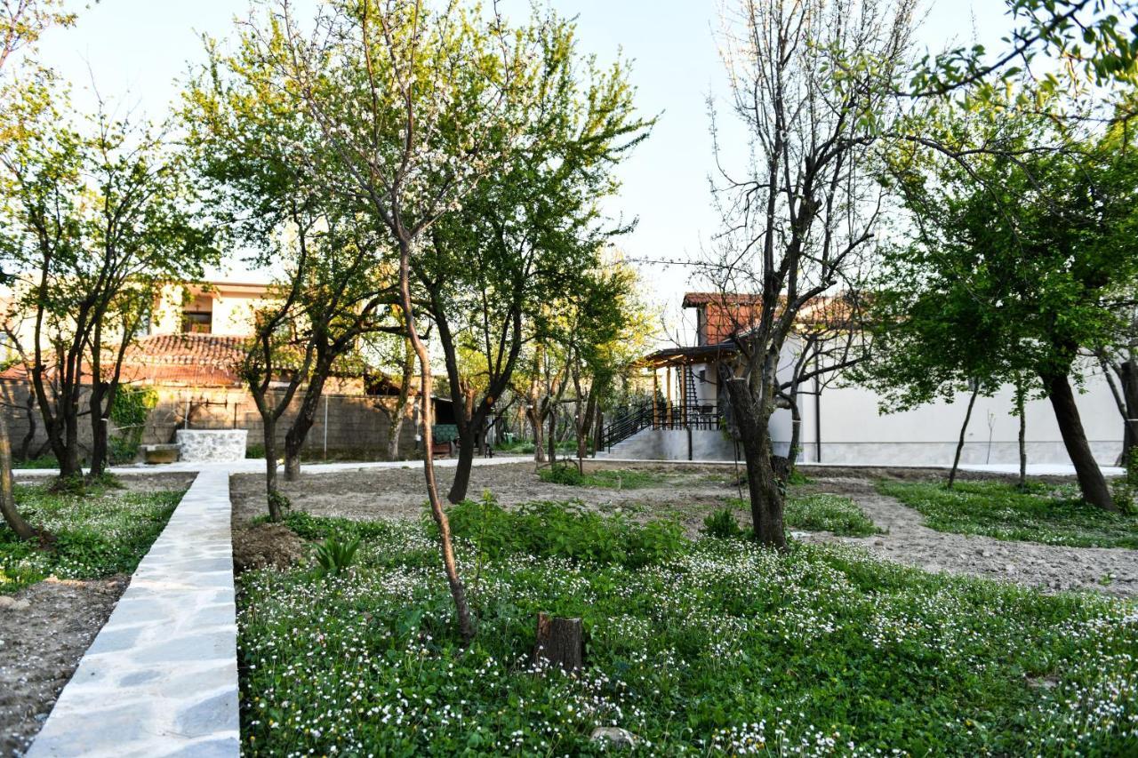 Nicolaus Hidden Gem Villa Shkodër Dış mekan fotoğraf