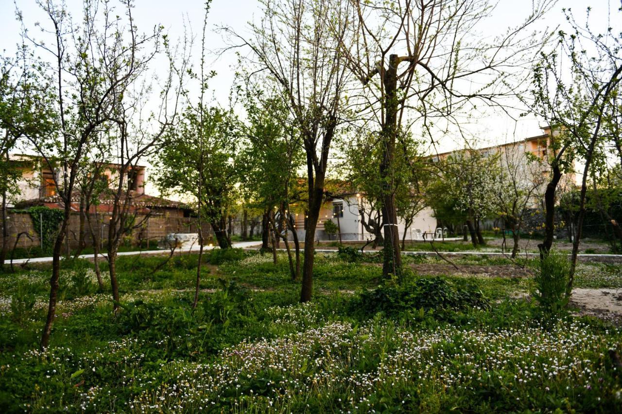Nicolaus Hidden Gem Villa Shkodër Dış mekan fotoğraf