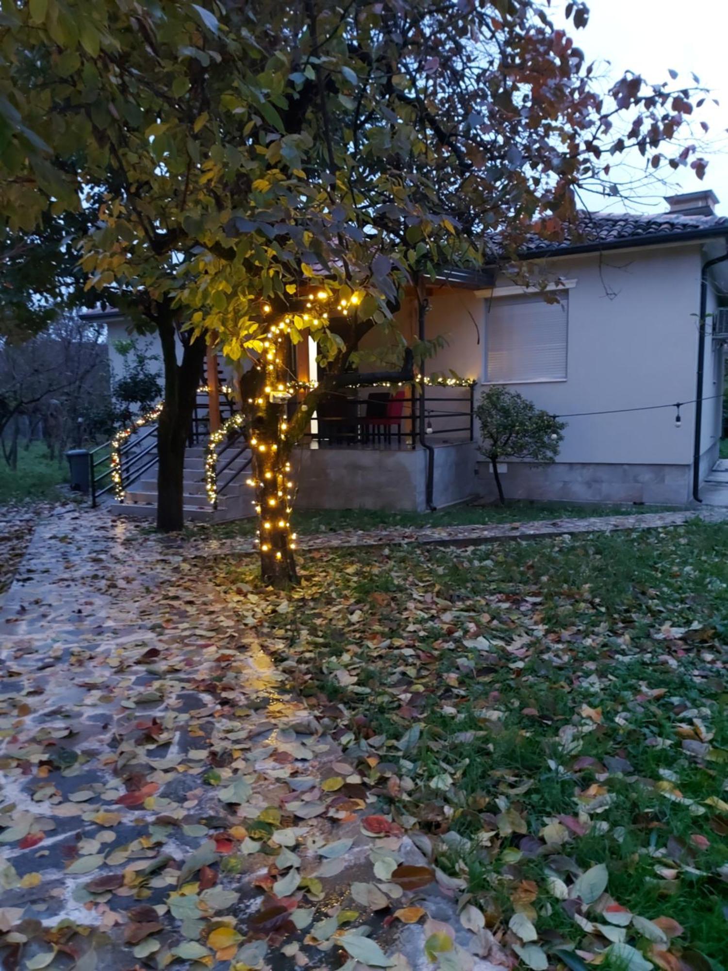 Nicolaus Hidden Gem Villa Shkodër Dış mekan fotoğraf
