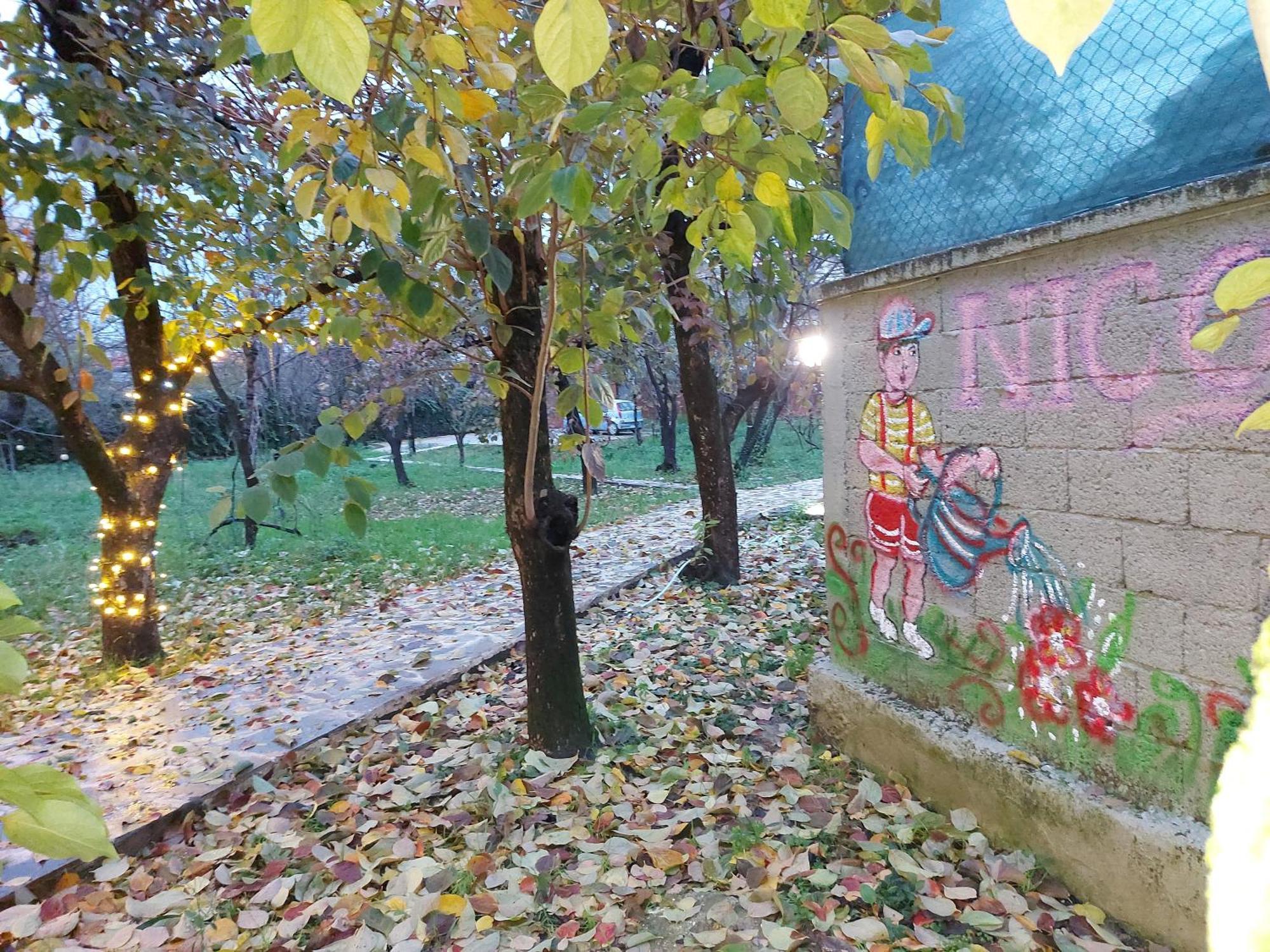 Nicolaus Hidden Gem Villa Shkodër Dış mekan fotoğraf