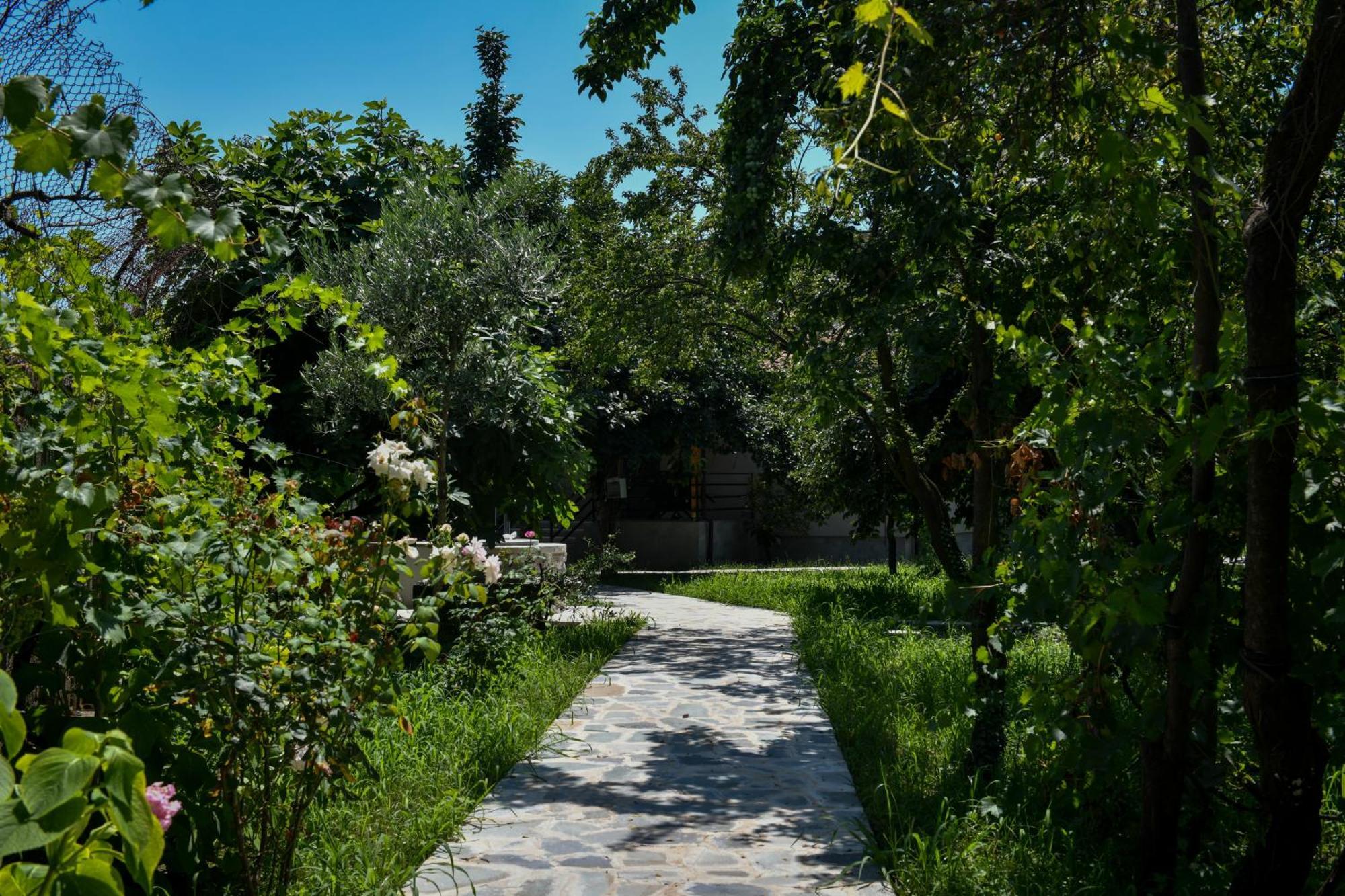 Nicolaus Hidden Gem Villa Shkodër Dış mekan fotoğraf
