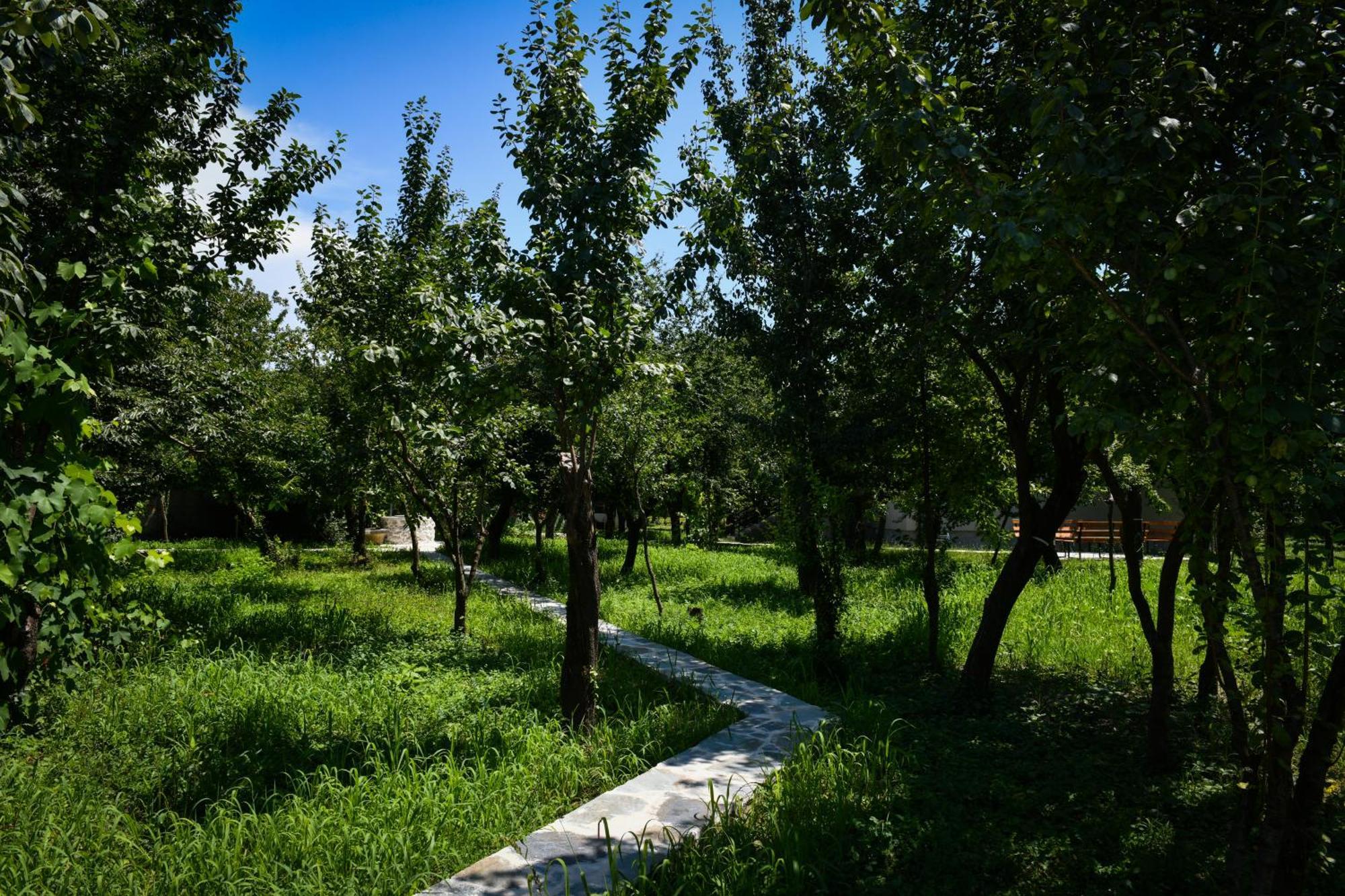 Nicolaus Hidden Gem Villa Shkodër Dış mekan fotoğraf