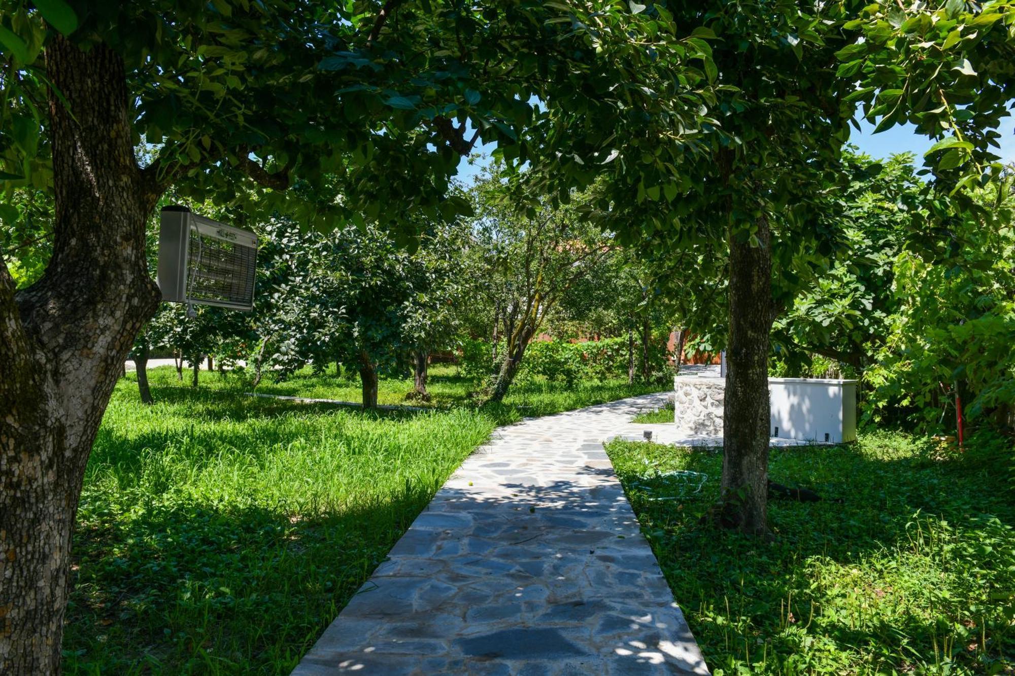 Nicolaus Hidden Gem Villa Shkodër Dış mekan fotoğraf